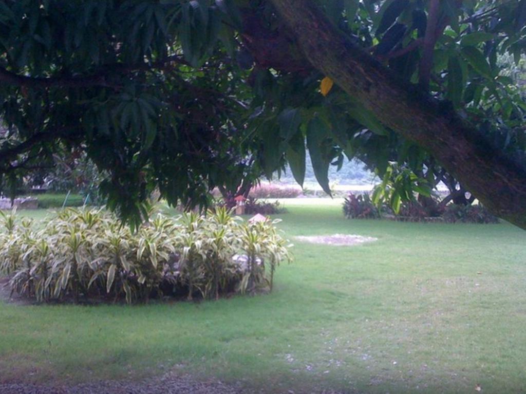 Dewdrop Mango Bloom Resort Jim Corbett National Park Bilik gambar